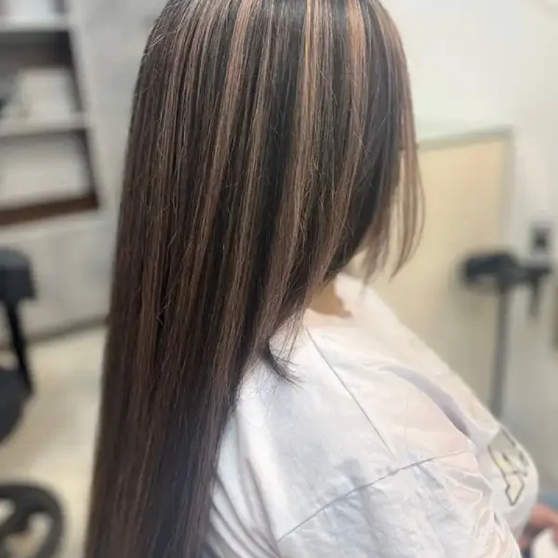 رنگ مو، هایلایت، مش، آمبره، سامبره، بالیاژ- مینا رزین